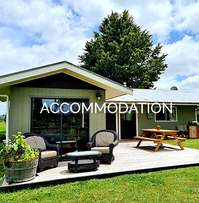Accommodation Kakahi / Taumarunui - Rua Awa Lodge